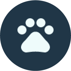 Dog Print Icon